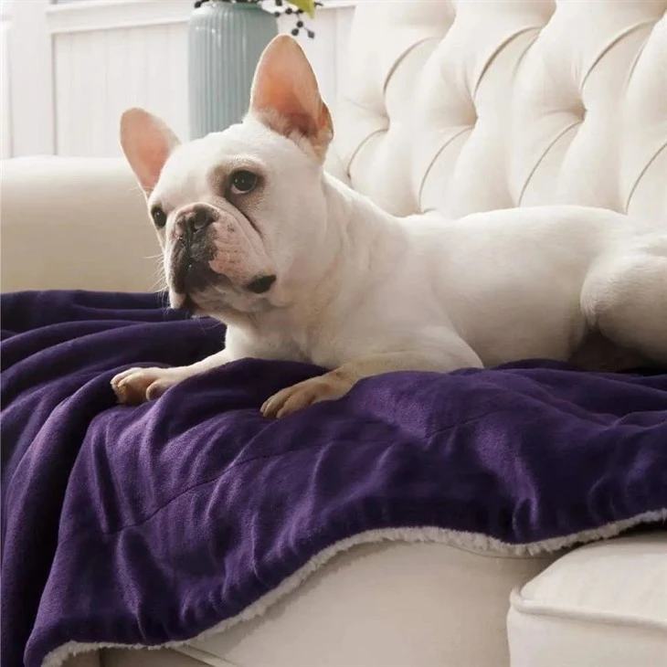 sherpa blanket for winter